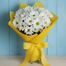 Букет цветов из:  Хризантемы в Дагомысе