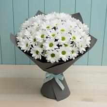 Букет цветов из:  Хризантемы #REPLACE_PRED# Дагомысе