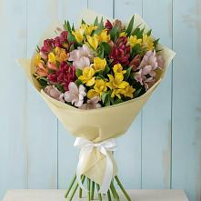 Букет цветов из:  Альстромерии в Дагомысе