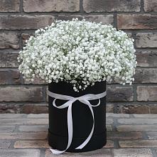 Цветочная композиция из Гипсофила в шляпной коробке #REPLACE_PRED# Дагомысе