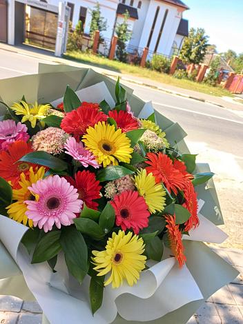 Букет цветов из: Герберы в Дагомысе