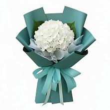 Букет цветов из:  Гортензия в Дагомысе